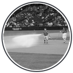 Playing Surface